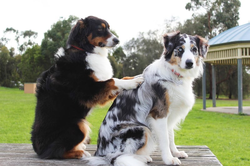 Balance & Stability