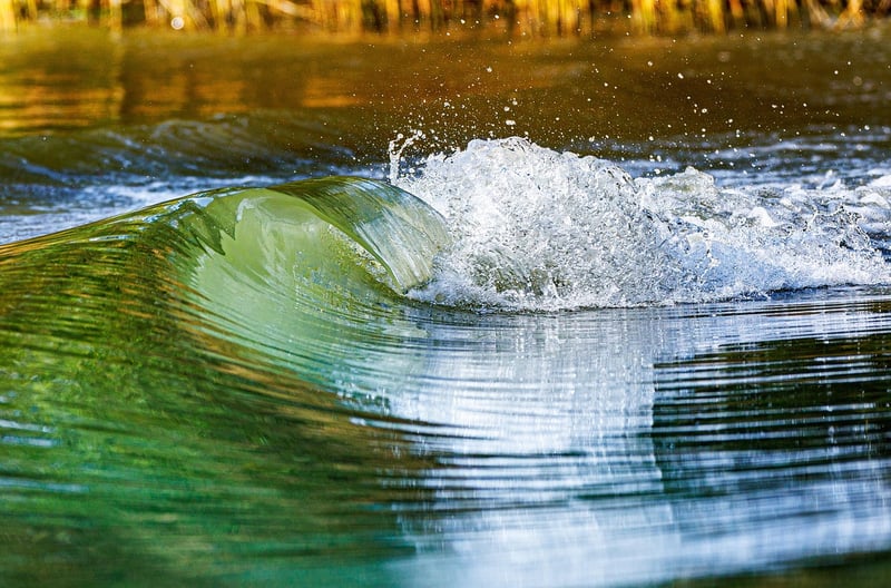 Mindful Movement Flow